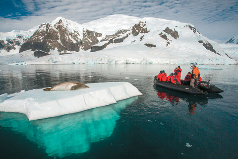 Silversea zodiac observing seal in Paradise bay Antarctica Silversea zodiac observing seal in Paradise bay Antarctica